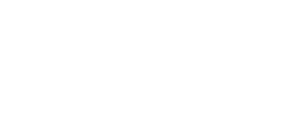 logo chromsystem